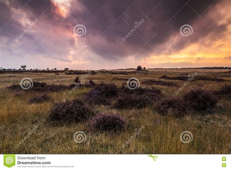 Naar navigatie springen naar zoeken springen. Kleurrijke Zonsondergang Bij Heidelandschap Stock Foto ...