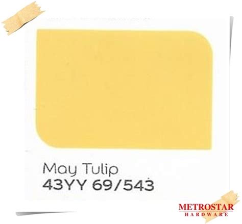Ici Dulux Inspire Durable Exterior Paint 5l Yellow Collection