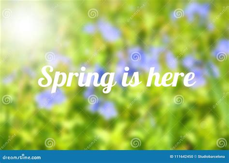 Spring Is Here Stock Photo Image Of Flowers Season 111642450