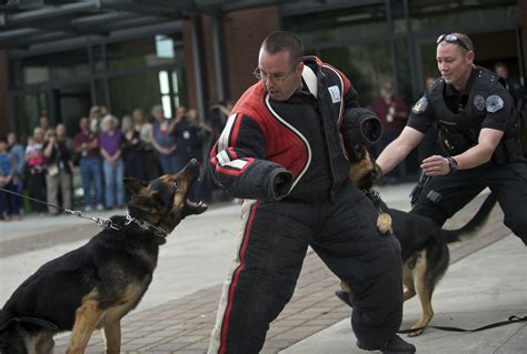 New Police Dogs Show Off Their Skills At K 9 Commencement The Columbian
