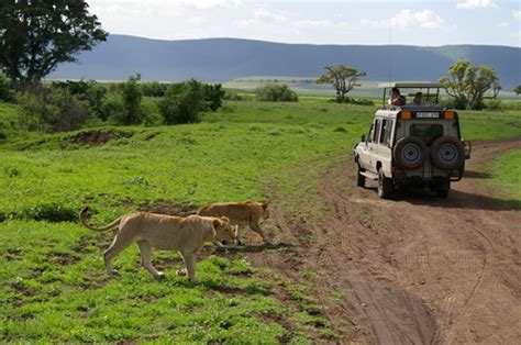 3 Days Serengeti Safari And Ngorongoro Crater Wildlife Tour