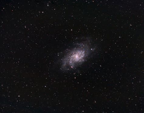 M33 Galaxy - The Triangulum Galaxy | Triangulum galaxy, Astrophotography, Galaxy