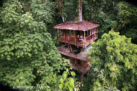 Okokno The Ultimate Treehouse Finca Bellavista