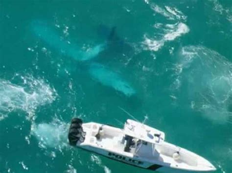 Small Plane Crashes Into Ocean Off Haulover Beach In Miami Dade County
