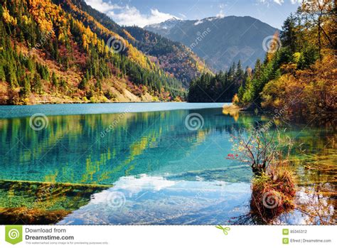 Beautiful View Of The Arrow Bamboo Lake With Azure Water Stock Photo