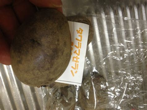 Temukan lagu terbaru favoritmu hanya di lagu 123 stafaband planetlagu. Poco Poco Rohani Nonstop : Vcd Lagu Rohani Price Promotion ...