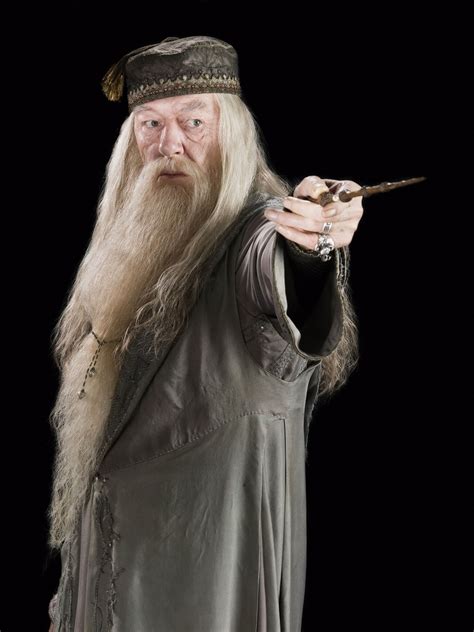 Albus Dumbledore Harry Potter Wiki Fandom
