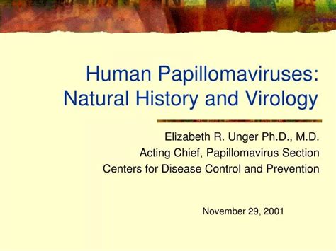 Ppt Human Papillomaviruses Natural History And Virology Powerpoint Presentation Id