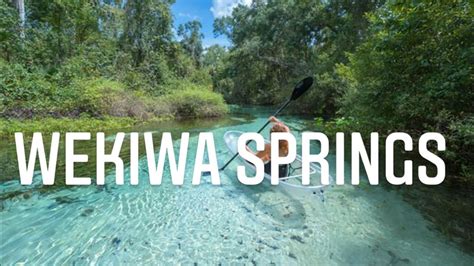 Wekiwa Springs Apopka Fl Youtube
