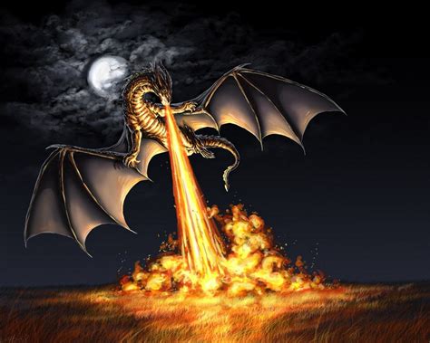 Nightmare Stalker Fire Dragon Fire Breathing Dragon Dragon Pictures