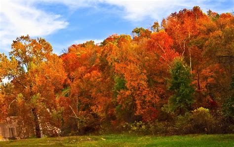 Oklahoma Fall Foliage And Festivals Oklahomas