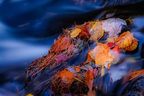 🔥 Download Tags Nature Landscapes Landscape Stone River Autumn Leaves