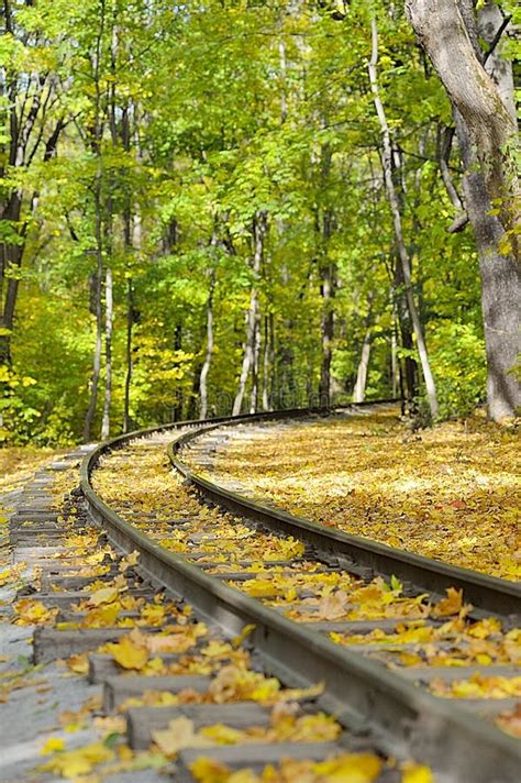 Autumn Railroad Stock Image Image Of Green Forest Bright 27011547