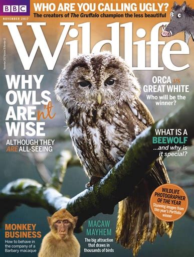 Bbc Wildlife Magazine November 2017 Back Issue