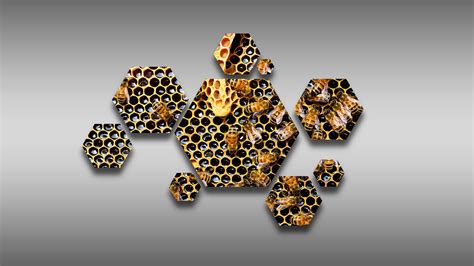 Hive 1080p Beecube Hexagon Honey Honeycombs Bees Beehive Hd