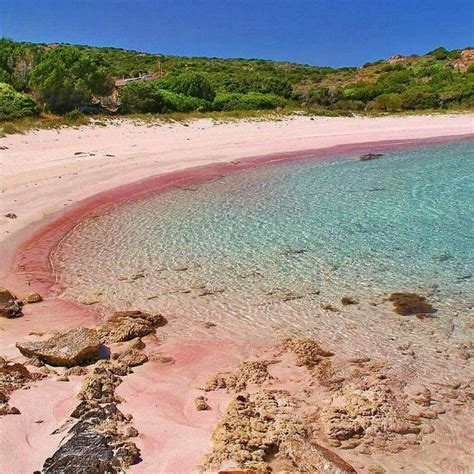 Pink Beach In Sardinia Why Is It Pink Can I Reach Budelli Island