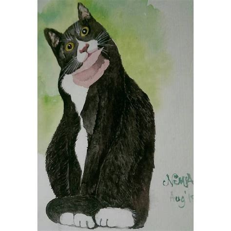 How to draw chibi eeyore. tuxedo cat on watercolor | Sketches, Drawings, Watercolor