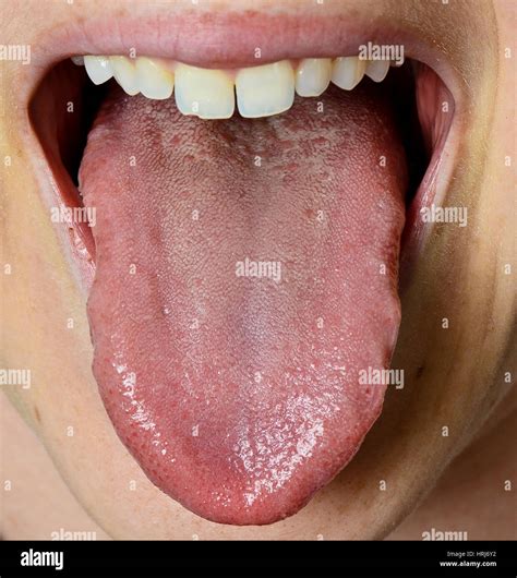 Taste Buds Human Tongue High Resolution Stock Photography And Images