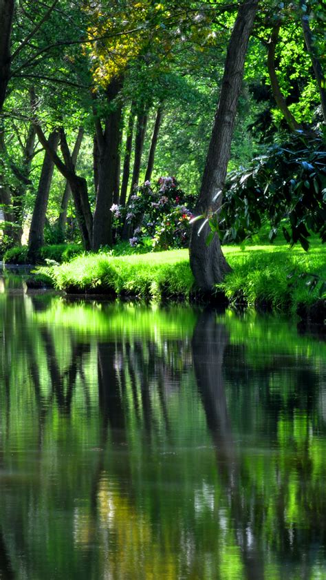 Free Download 4k Wallpaper Nature Water Flowers Trees Nature Grass