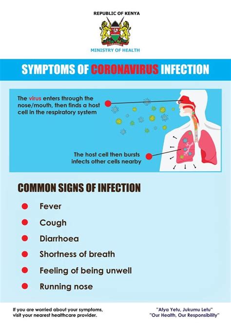 Jun 01, 2021 · abp india vs corona conclave 2: Corona Virus; Kenya Airways suspends flights to China ...