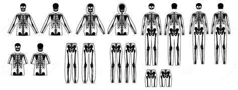 Set Of Skeleton Costume Human Bones On Shirts Pants Front Back View