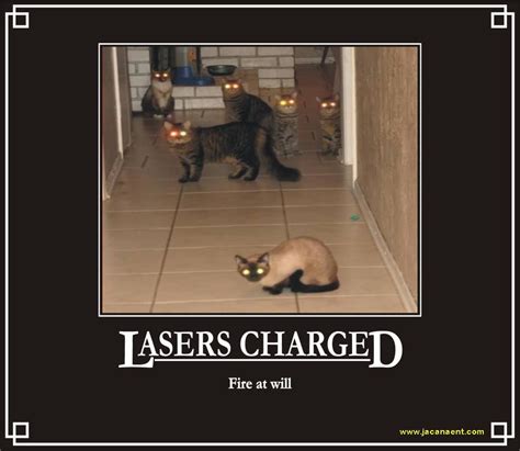 Lasers Charged Fire At Will Demotivational Posters Funny Cats Humor