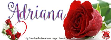 Nombres Portadas Para Tu Facebook Con Rosas Adriana