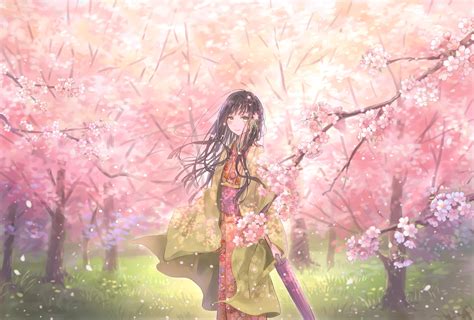Wallpaper Girl Kimono Umbrella Sakura Petals Anime Art Hd