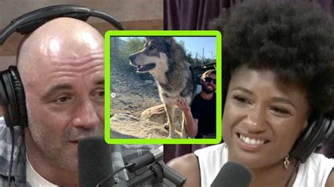 Joe Rogan On Whats Really Depressing About A Wolf Sanctuary Youtube