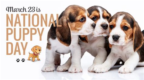 National Puppy Day 2021 History Quotes Jokes And Ways To Celebrate
