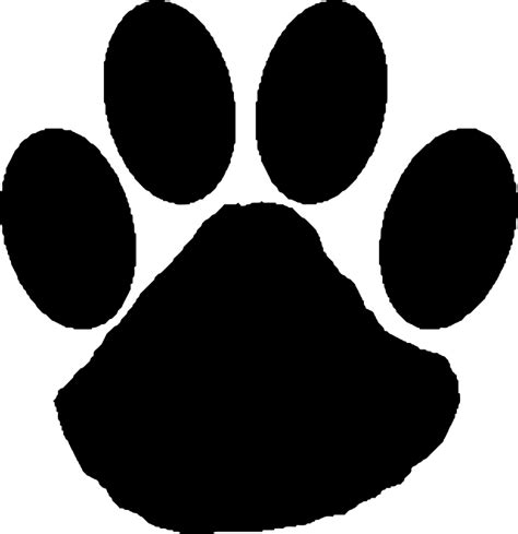 Wildcat Paw Clip Art Cat Png Download 753777 Free Transparent