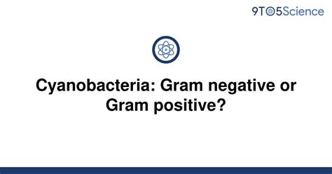 Solved Cyanobacteria Gram Negative Or Gram Positive 9to5science