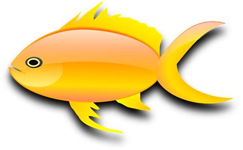 Gambar Animasi Ikan Png Gambar Ikan Png Kartun Gambar Ikan Hd