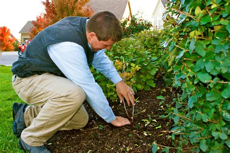 Sharp angled tread elements for maximum pulling and pushing power Landscaping Mulch Near Me | Mulching Garden With Leaves ...