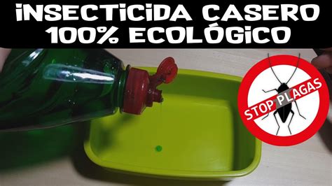 Insecticida Casero Ecol Gico Eficacia Probada Youtube