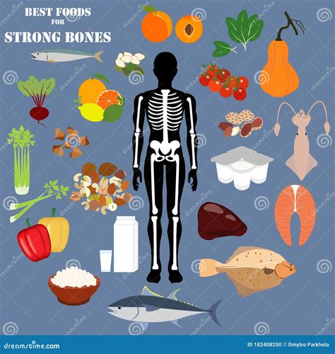 Best Foods For Strong Bones Vector Illustration Stock Vector