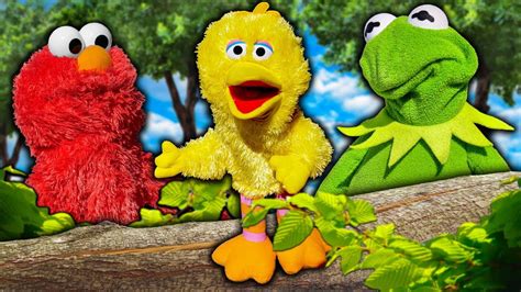 Kermit The Frog And Elmo Teach Big Bird How To Fly Youtube