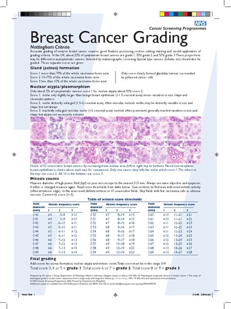 Breast Cancer Grading Poster Pdf Cell Nucleus Mitosis
