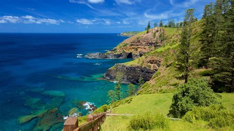 Visita Parco Nazionale Di Norfolk Island Scopri Il Meglio Di Parco