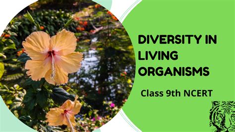 Diversity In Living Organisms Class 9th Science — Cbse Guides