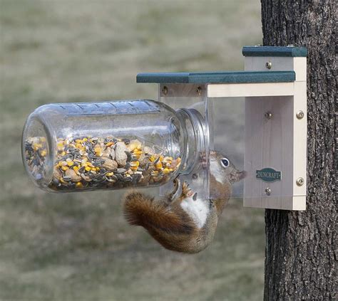Down Under Squirrel Jar Feeder Squirrel Feeder Diy Squirrel Feeder