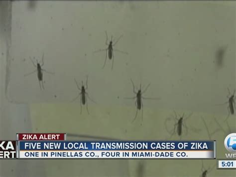 5 New Non Travel Related Zika Cases In Fla