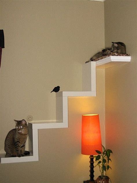 This is important so the cat has traction to climb. Ikea Lack Shelf Made Into Cat Furniture Flickr Photo ...