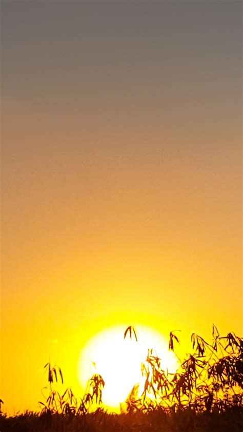 Pin by Bahamajack on Sunrise & Sunset | Beautiful sunset ...