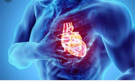 Ischemic Heart Disease Symptoms Causes And Treatment Santripty
