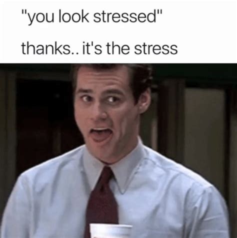 30 Memes About Stress That Will Make You Care A Bit Less Feels