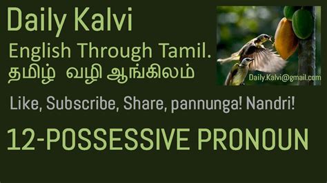 12 தமிழ் வழி ஆங்கிலம் possessive pronoun in tamil youtube
