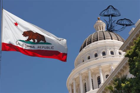 California Psychedelics Decriminalization Approved By State Lawmakers