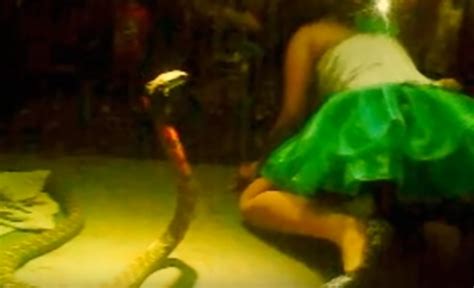 Indonesian Singer Dies After Being Bitten By A Cobra While Performing