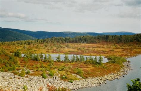 River Is Among The Mountains And Forests Of The Altai Nature Of Stock